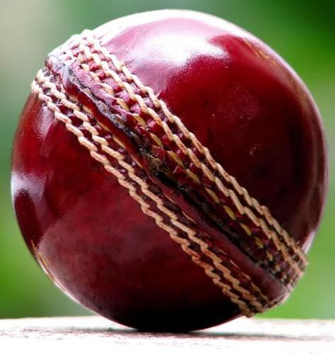 Proteas left devastated
