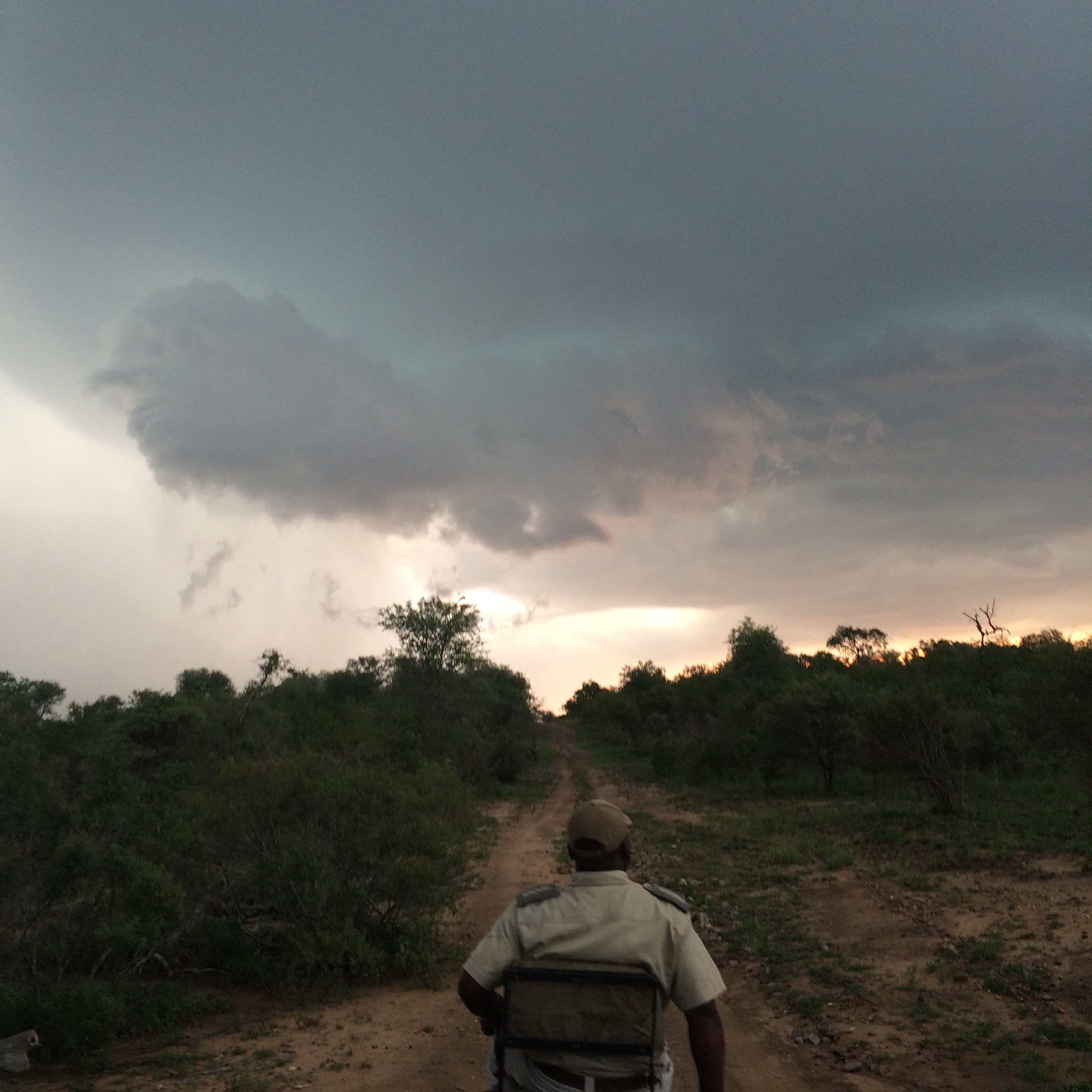 Karongwe, a small slice of paradise