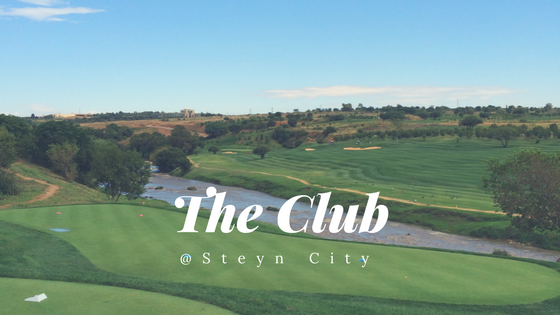 The Happy Hacker plays Steyn City