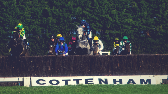 A day out at Cottenham Point to Point